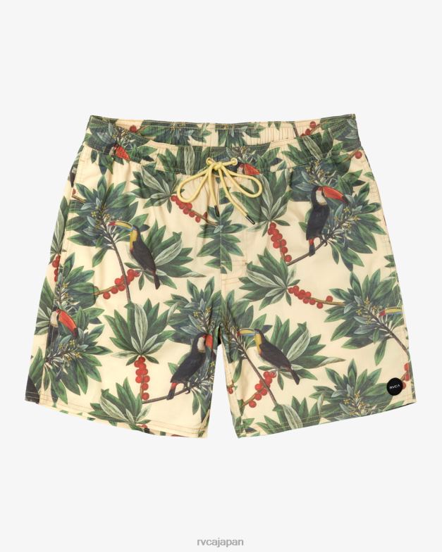 ボトムス TP8J198 バナナ RVCA ユニセックス バーンズ エラスティックウエスト ボードショーツ 17