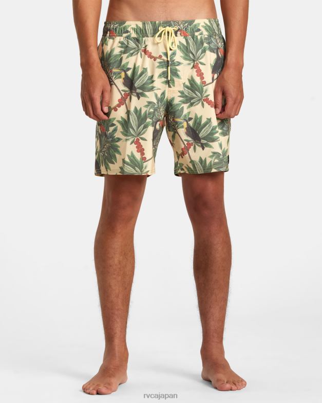 ボトムス TP8J198 バナナ RVCA ユニセックス バーンズ エラスティックウエスト ボードショーツ 17