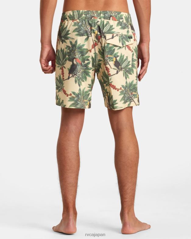ボトムス TP8J198 バナナ RVCA ユニセックス バーンズ エラスティックウエスト ボードショーツ 17