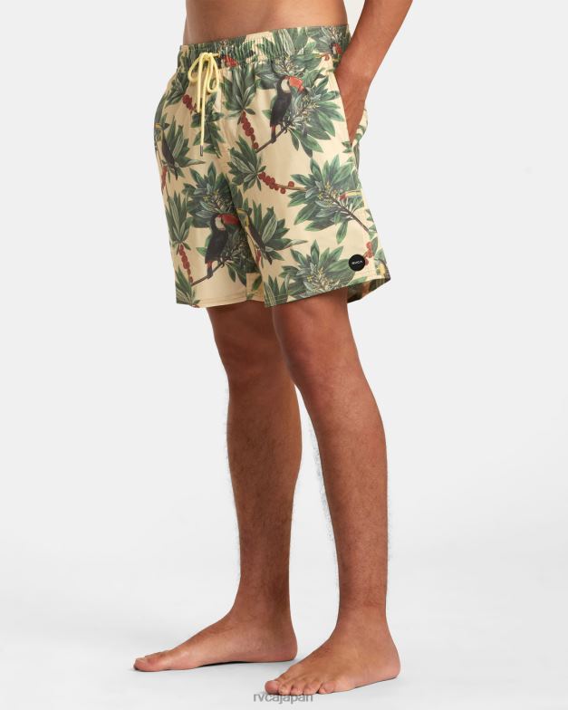 ボトムス TP8J198 バナナ RVCA ユニセックス バーンズ エラスティックウエスト ボードショーツ 17
