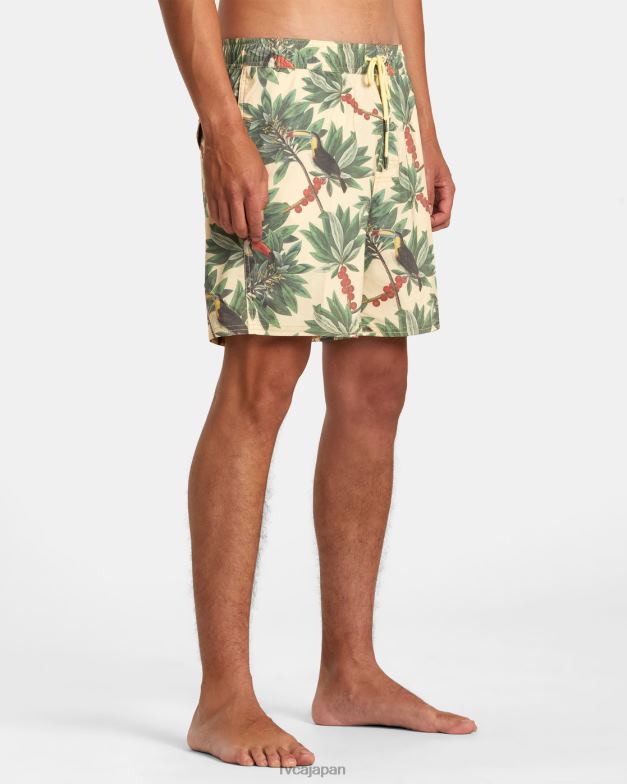 ボトムス TP8J198 バナナ RVCA ユニセックス バーンズ エラスティックウエスト ボードショーツ 17