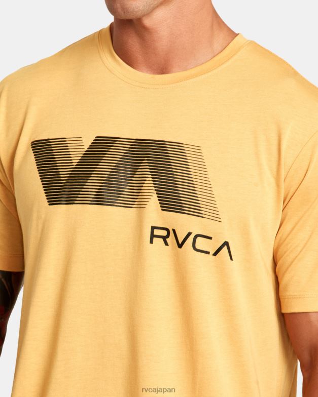 衣類 TP8J25 金 RVCA 男性 va ブラー ティー
