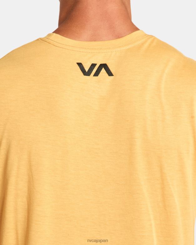 衣類 TP8J25 金 RVCA 男性 va ブラー ティー