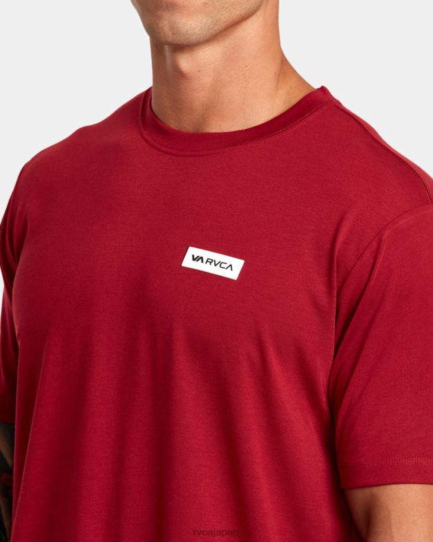 衣類 TP8J303 枢機卿 RVCA 男性 アイコンTシャツ