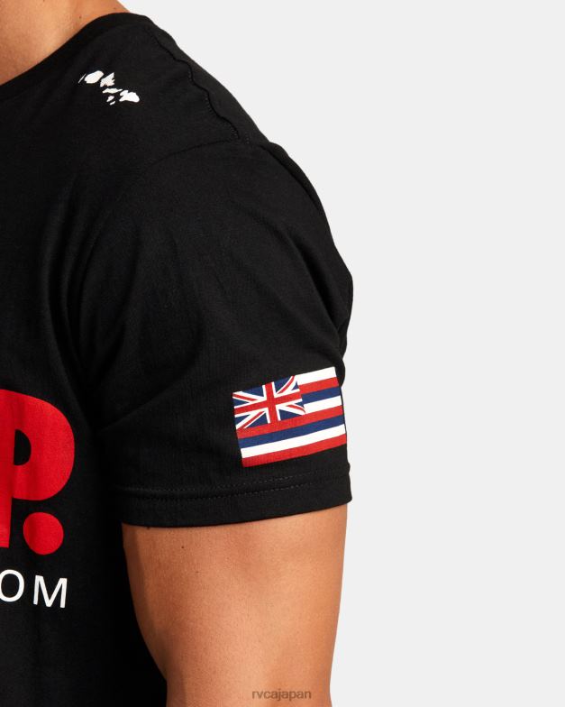 衣類 TP8J914 黒 RVCA 男性 ペンはただのスクラップTシャツ