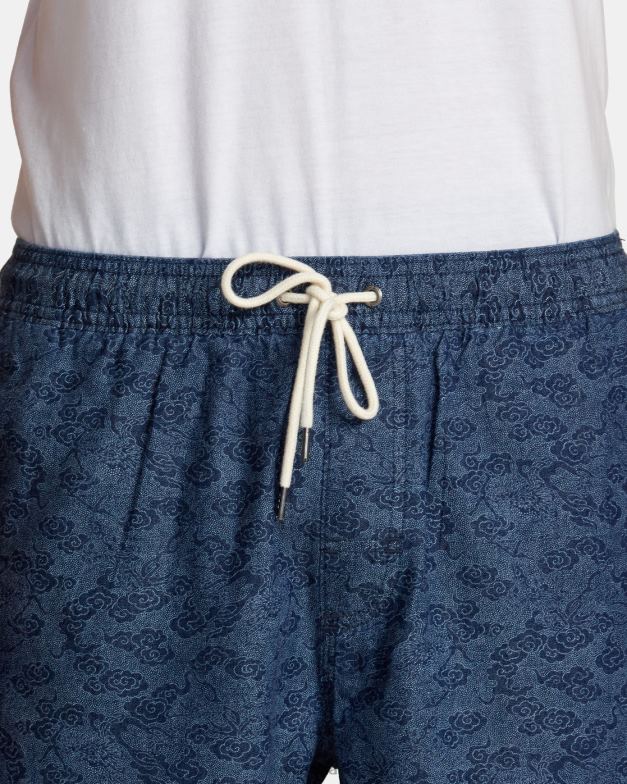 衣類 TP8J100 青 RVCA 男性 エスケープドラゴン 17 伸縮性ショーツ