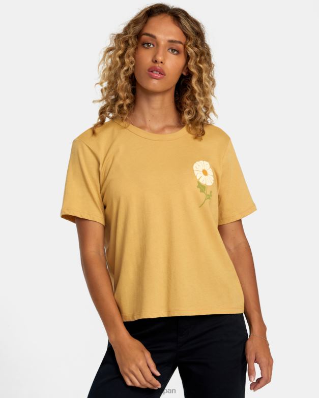 衣類 TP8J1218 ストロー RVCA 女性 必須のTシャツ