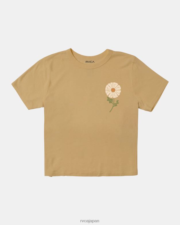 衣類 TP8J1218 ストロー RVCA 女性 必須のTシャツ