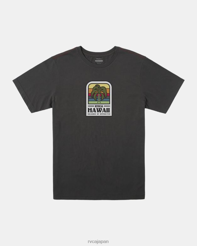 衣類 TP8J129 海賊黒 RVCA 男性 ハワイ島の植物Tシャツ