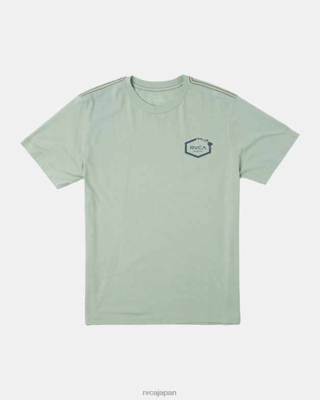 衣類 TP8J133 緑のもや RVCA 男性 ハワイヘックスティー