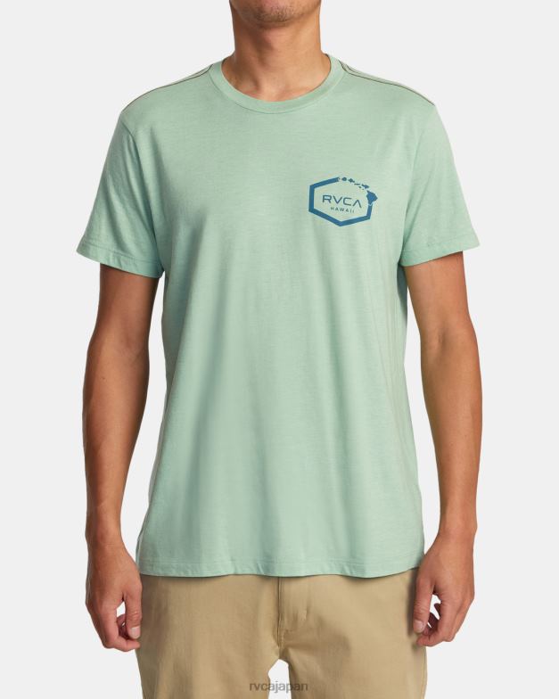 衣類 TP8J133 緑のもや RVCA 男性 ハワイヘックスティー