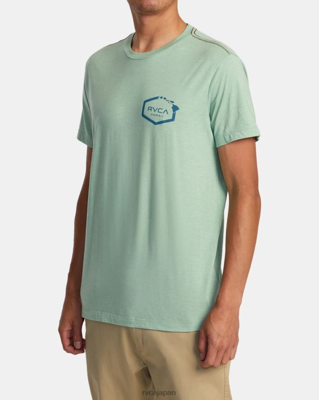 衣類 TP8J133 緑のもや RVCA 男性 ハワイヘックスティー