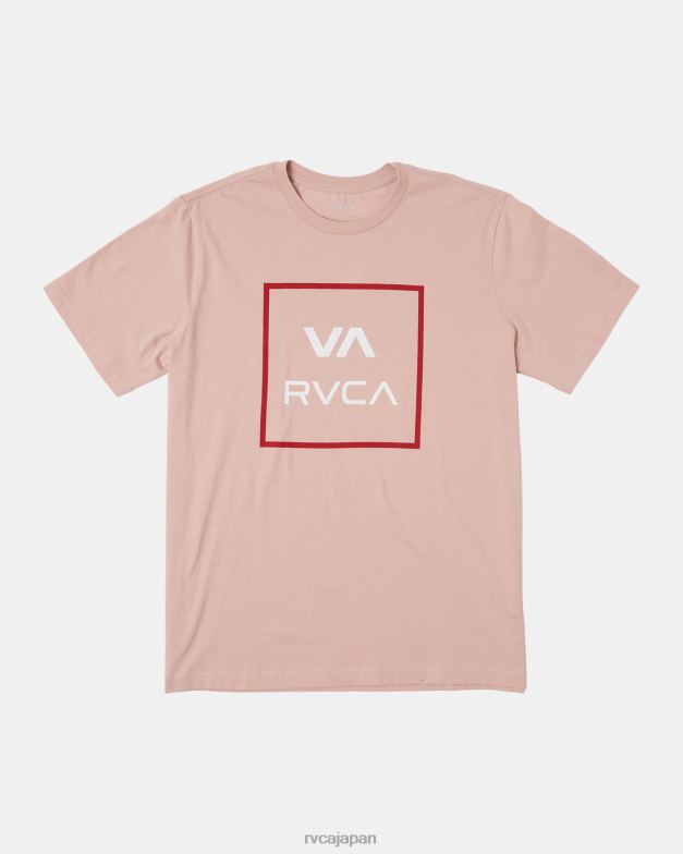衣類 TP8J166 淡い藤色 RVCA 男性 va all the way半袖Tシャツ