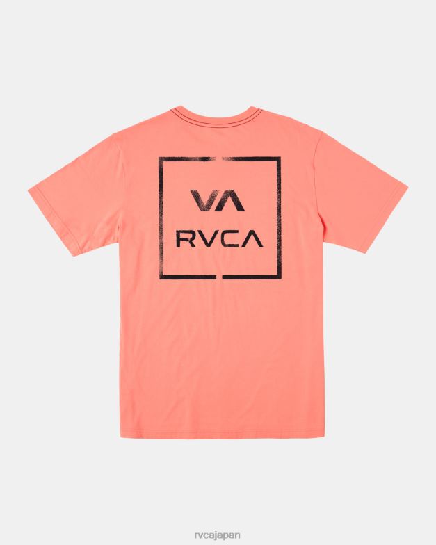 衣類 TP8J174 ヴィンテージサーモン RVCA 男性 ずっとTシャツ