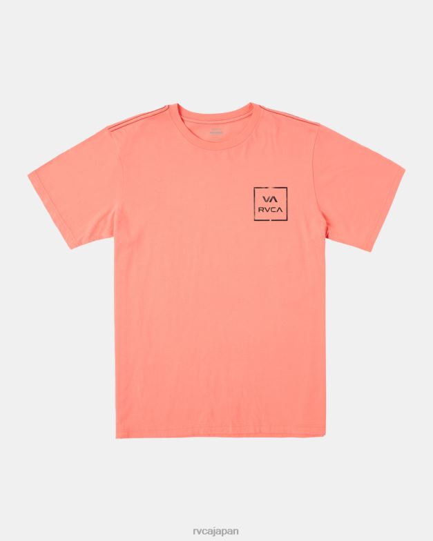 衣類 TP8J174 ヴィンテージサーモン RVCA 男性 ずっとTシャツ