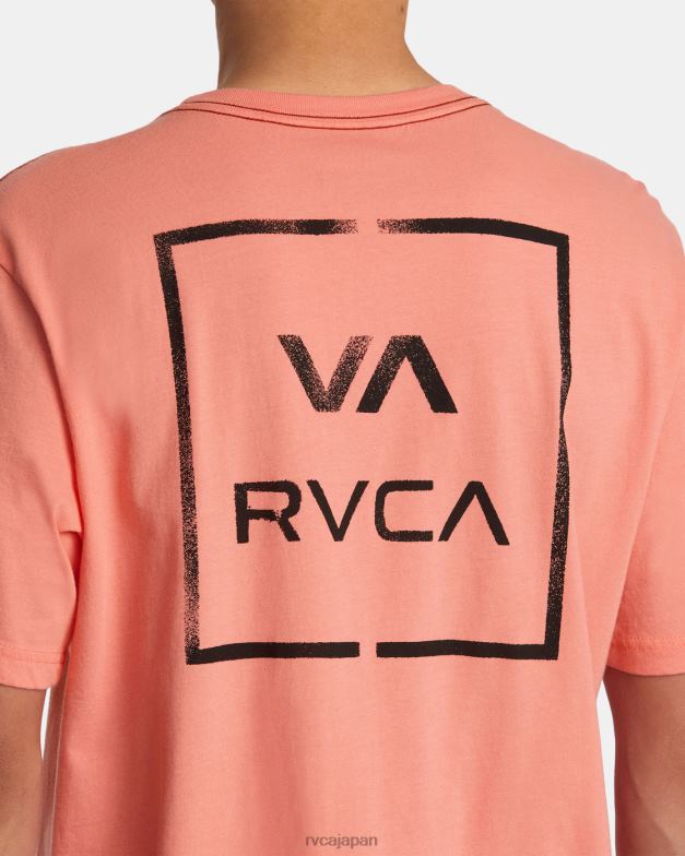 衣類 TP8J174 ヴィンテージサーモン RVCA 男性 ずっとTシャツ