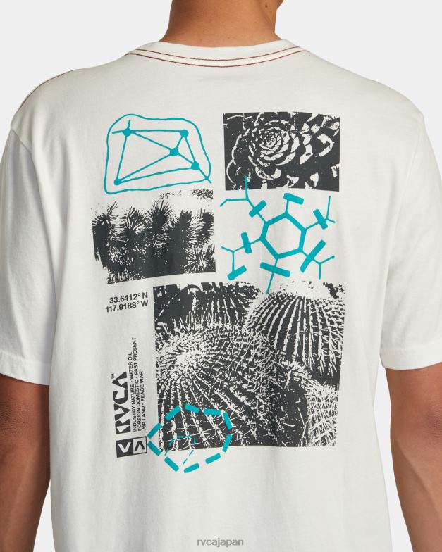 衣類 TP8J183 アンティークホワイト RVCA 男性 エスノボトニーTシャツ