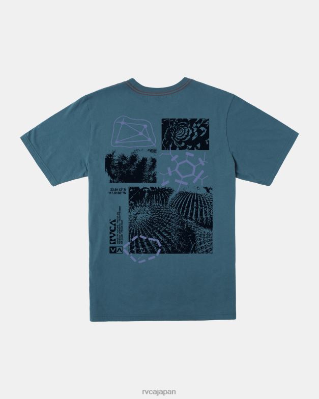 衣類 TP8J203 アヒルブルー RVCA 男性 エスノボトニーTシャツ