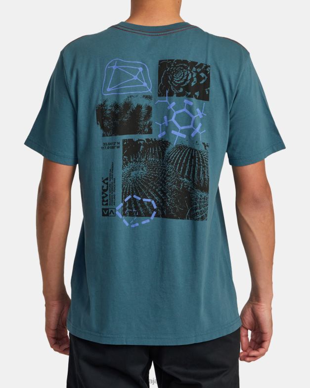衣類 TP8J203 アヒルブルー RVCA 男性 エスノボトニーTシャツ
