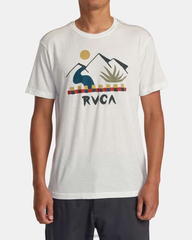 衣類 TP8J223 アンティークホワイト RVCA 男性 インナーステート T シャツ