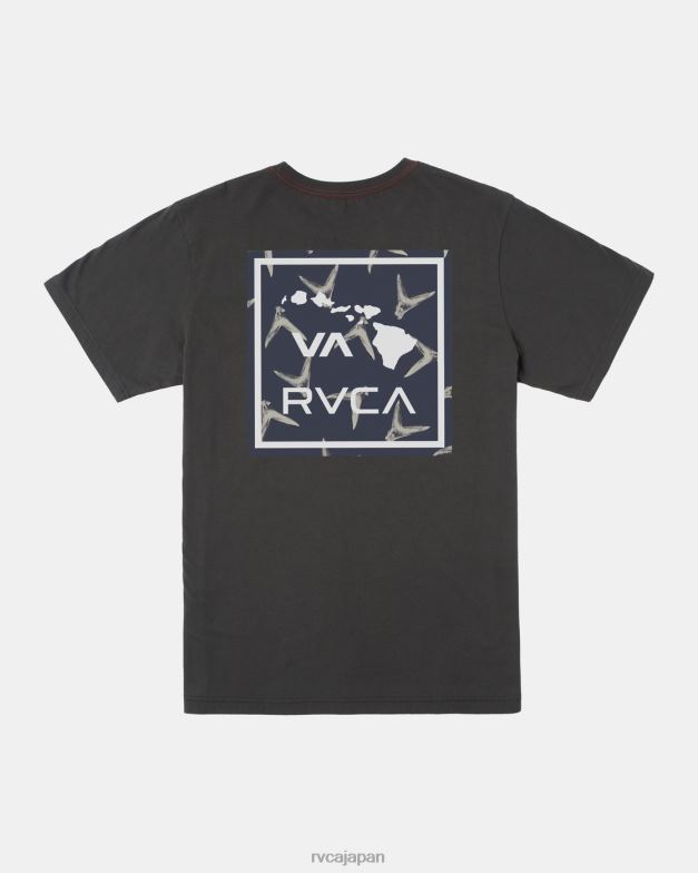 衣類 TP8J261 海賊黒 RVCA 男性 ハワイバフィンTシャツ