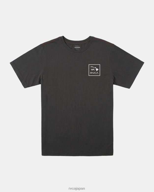 衣類 TP8J262 海賊黒 RVCA 男の子たち ハワイバフィンTシャツ