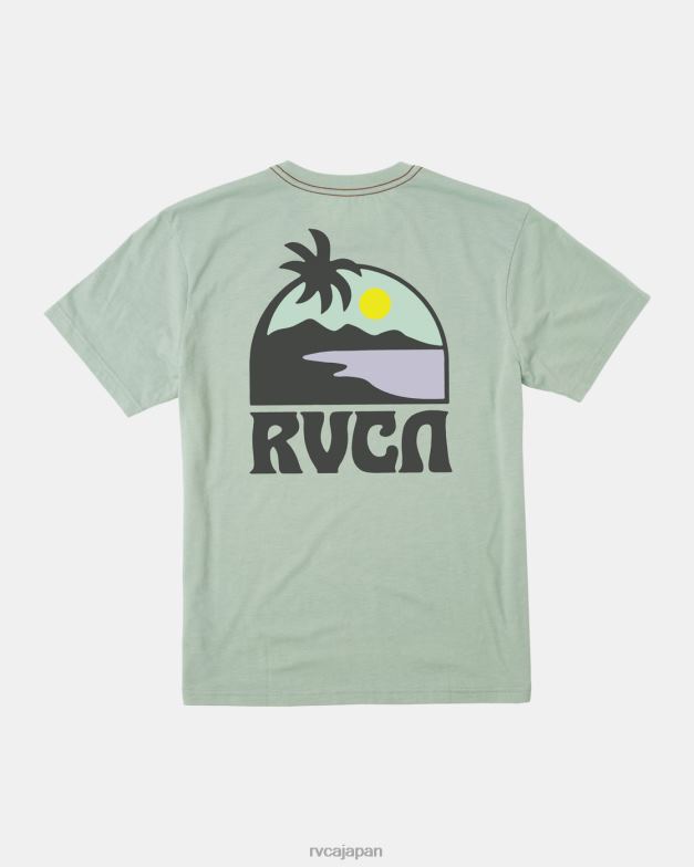 衣類 TP8J305 緑のもや RVCA 男性 サンダウナーTシャツ