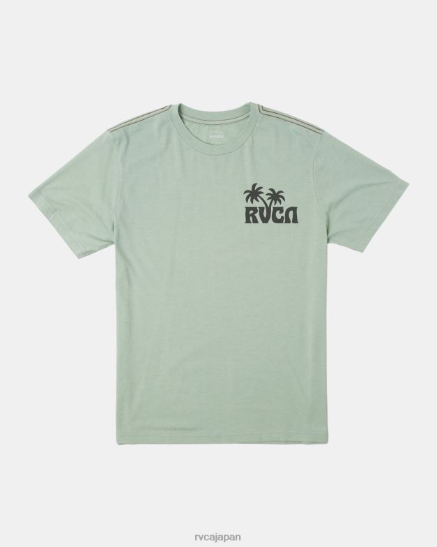 衣類 TP8J305 緑のもや RVCA 男性 サンダウナーTシャツ