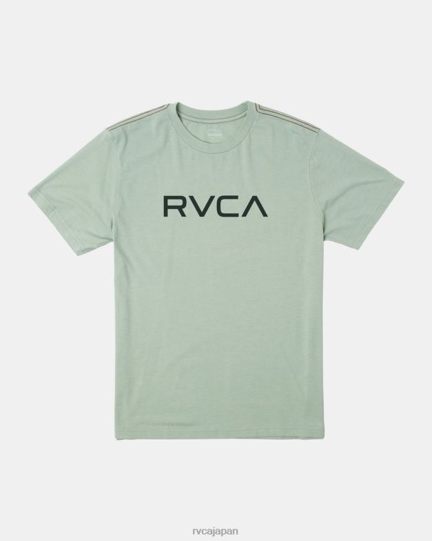衣類 TP8J327 緑のもや RVCA 男性 ビッグティー