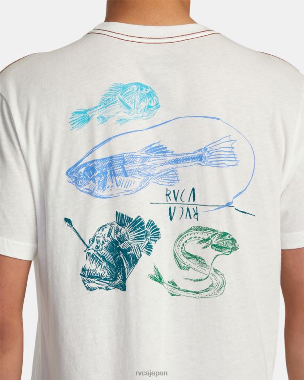 衣類 TP8J37 アンティークホワイト RVCA 男性 ベンホートン アビス Tシャツ