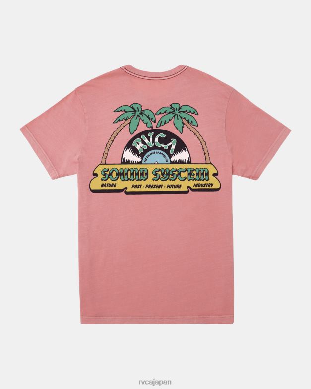 衣類 TP8J417 フラミンゴ RVCA 男性 ダンスホールTシャツ
