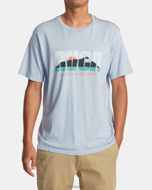 衣類 TP8J43 デジャブルー RVCA 男性 アロハステートTシャツ