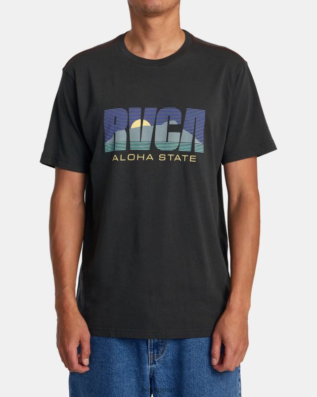 衣類 TP8J44 海賊黒 RVCA 男性 アロハステートTシャツ