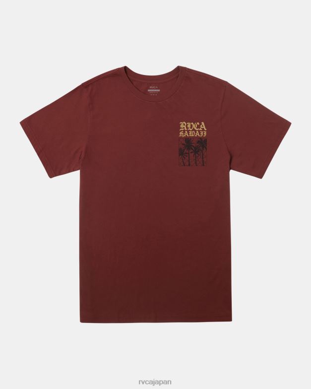 衣類 TP8J454 赤い地球 RVCA 男性 アロハフェンスTシャツ