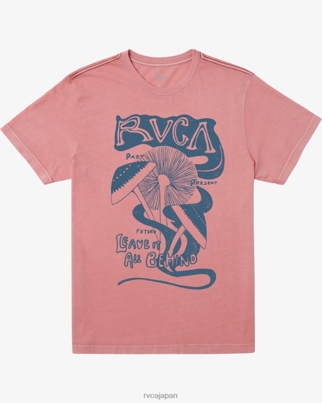 衣類 TP8J471 フラミンゴ RVCA 男性 Tシャツを置き忘れる