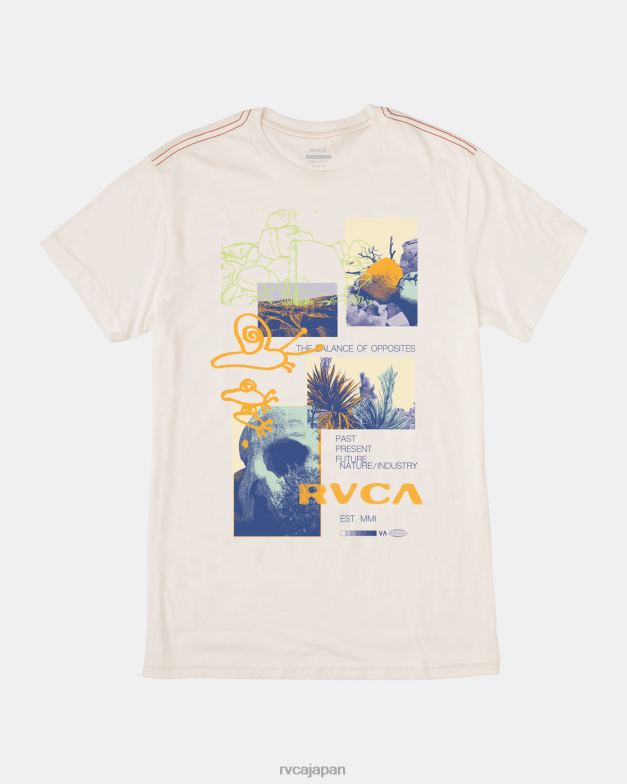 衣類 TP8J557 アンティークホワイト RVCA 男性 砂漠の風景 Tシャツ