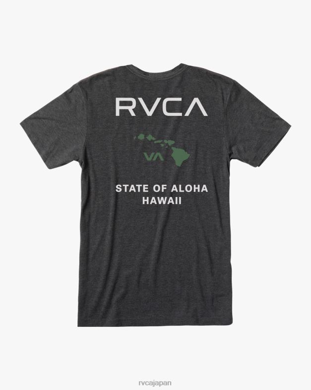 衣類 TP8J702 黒/緑 RVCA 男性 アロハTシャツの状態
