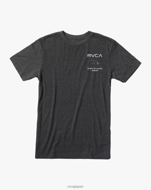 衣類 TP8J702 黒/緑 RVCA 男性 アロハTシャツの状態