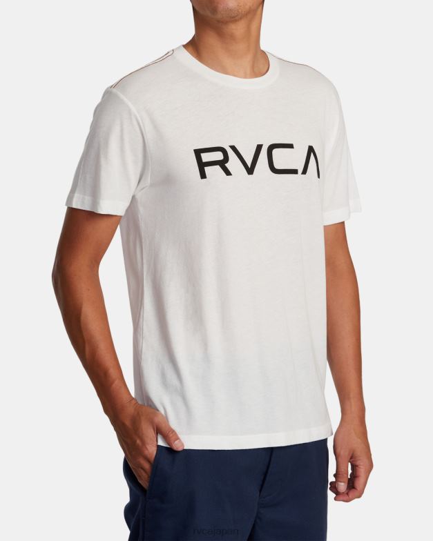 衣類 TP8J859 アンティークホワイト RVCA 男性 ビッグティー