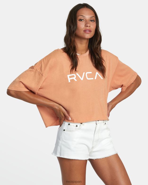 衣類 TP8J936 キャニオンローズ RVCA 女性 ビッグ半袖Tシャツ