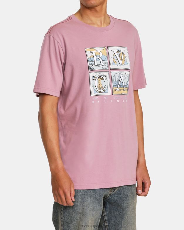 衣類 TP8J986 ラベンダー RVCA 男性 ナチュラルTシャツ